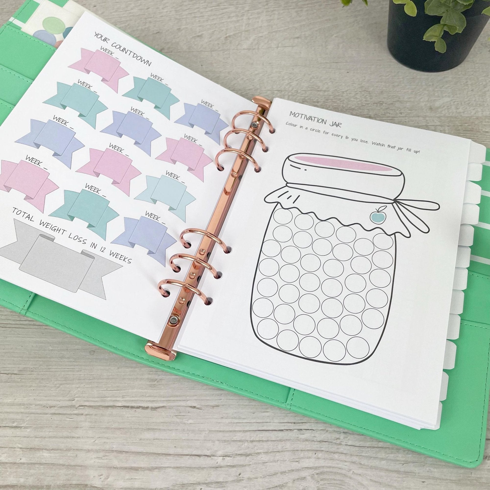 Pastel Food Diary Inserts - A5 Size - Inserts Only