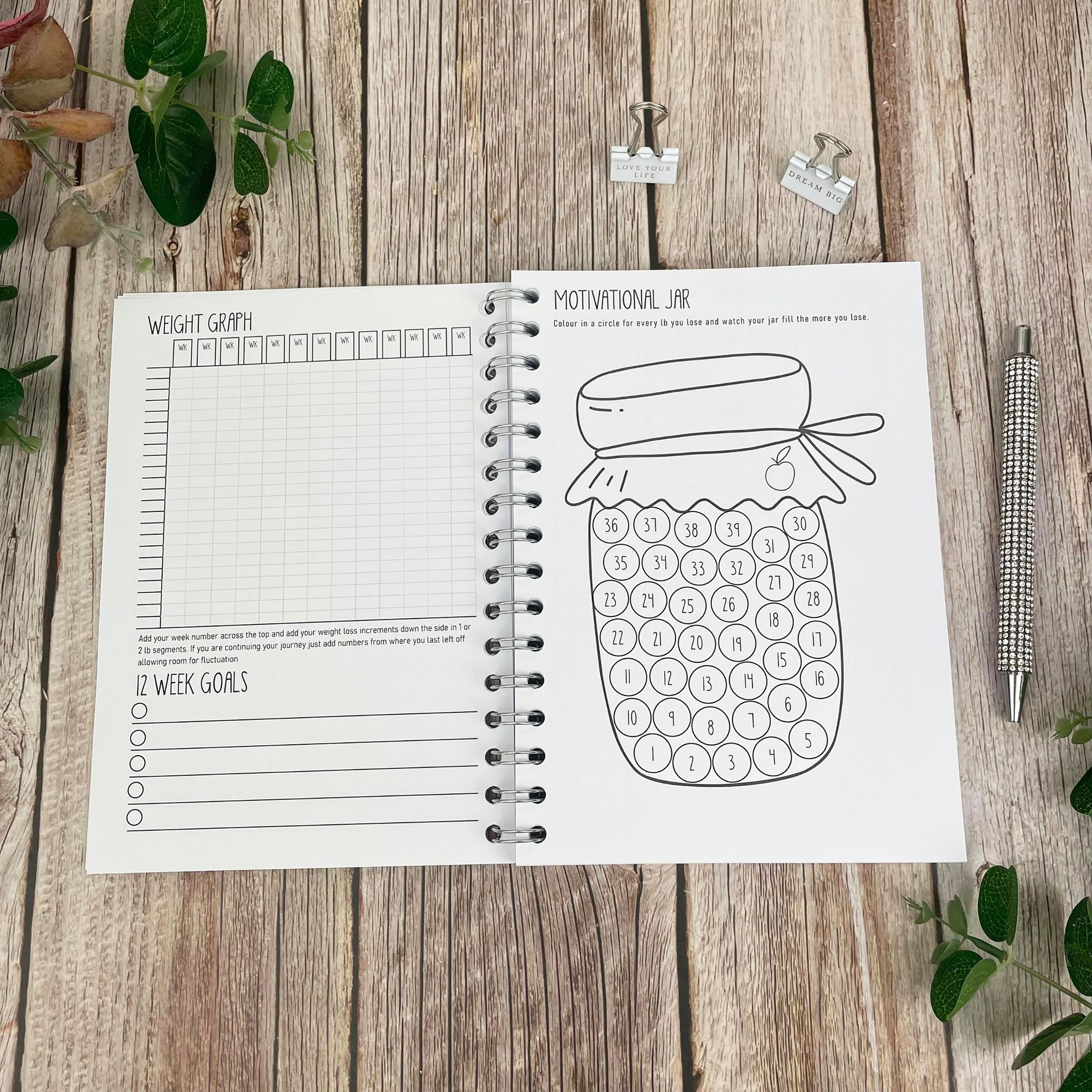 12 Week Food Diary - B&W-SW - Girl Its Never Too Late