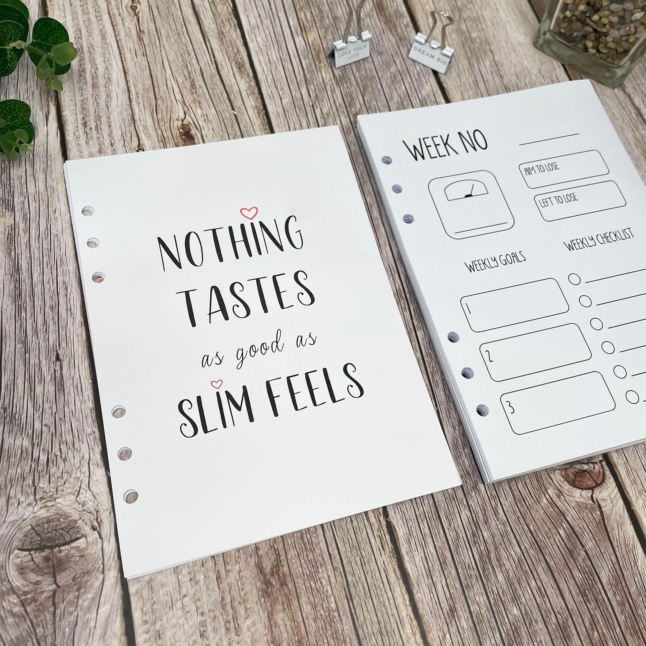 Slimming World Compatible Inserts - B&W-SW A5 Inserts - Nothing Tastes  Inserts