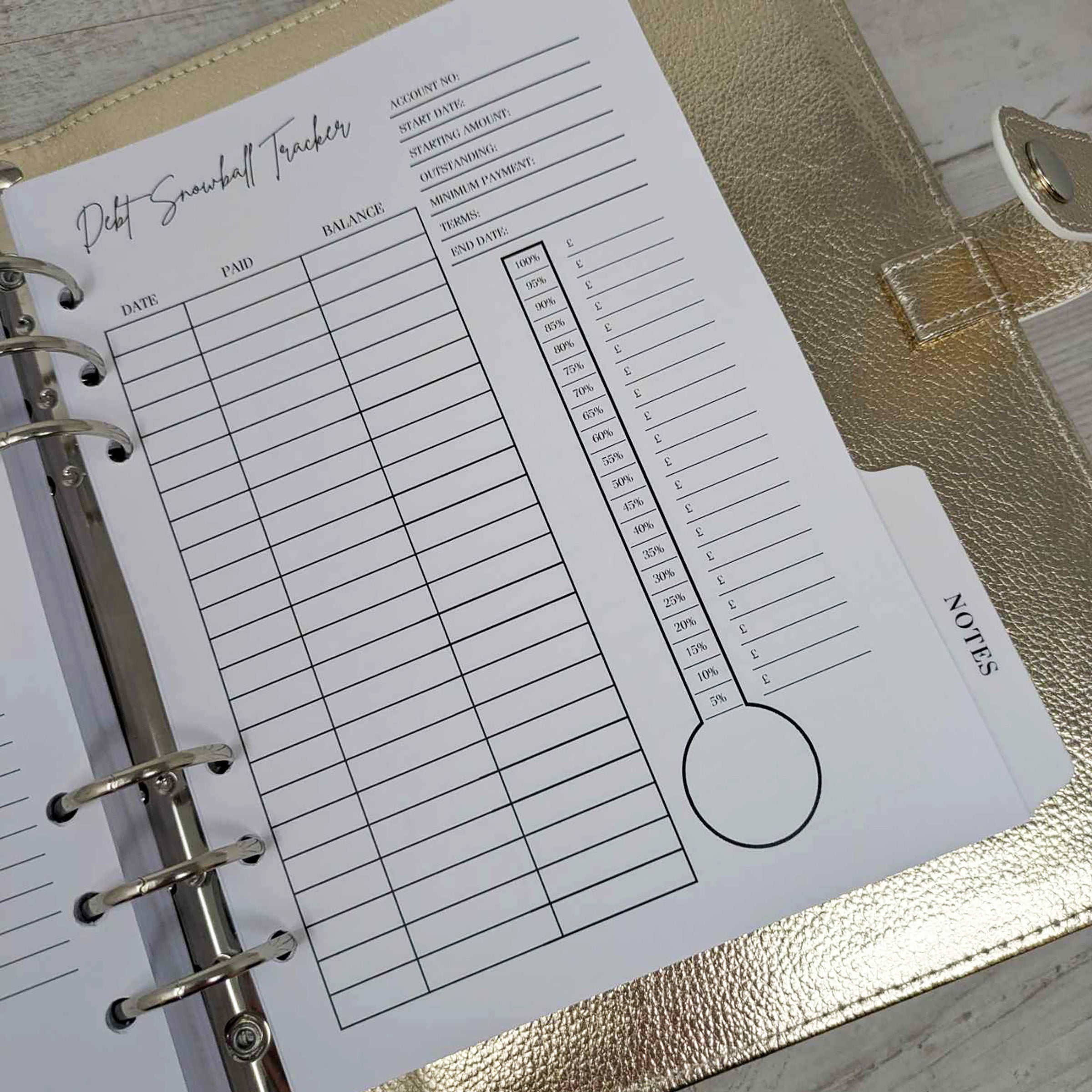 2025 Dated Diary With Budget Planner & Gold Organiser.