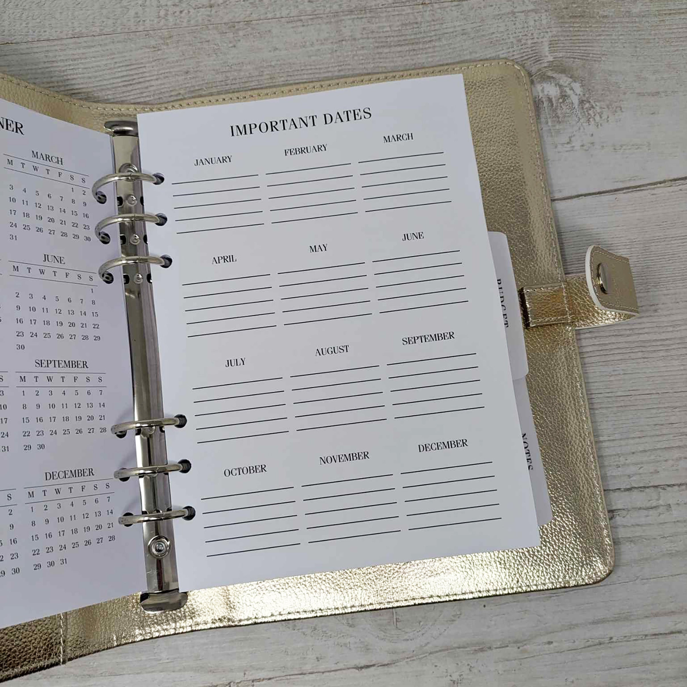 2025 Dated Diary With Budget Planner & Gold Organiser.