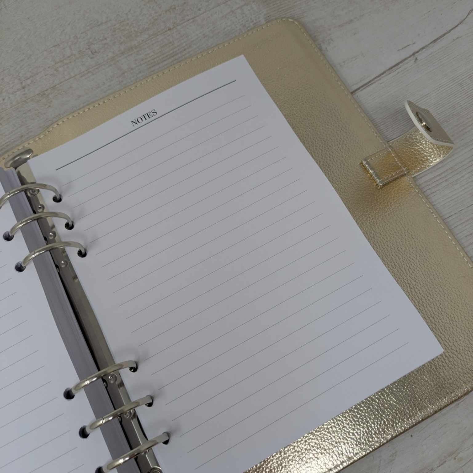 2025 Dated Diary With Budget Planner & Gold Organiser.