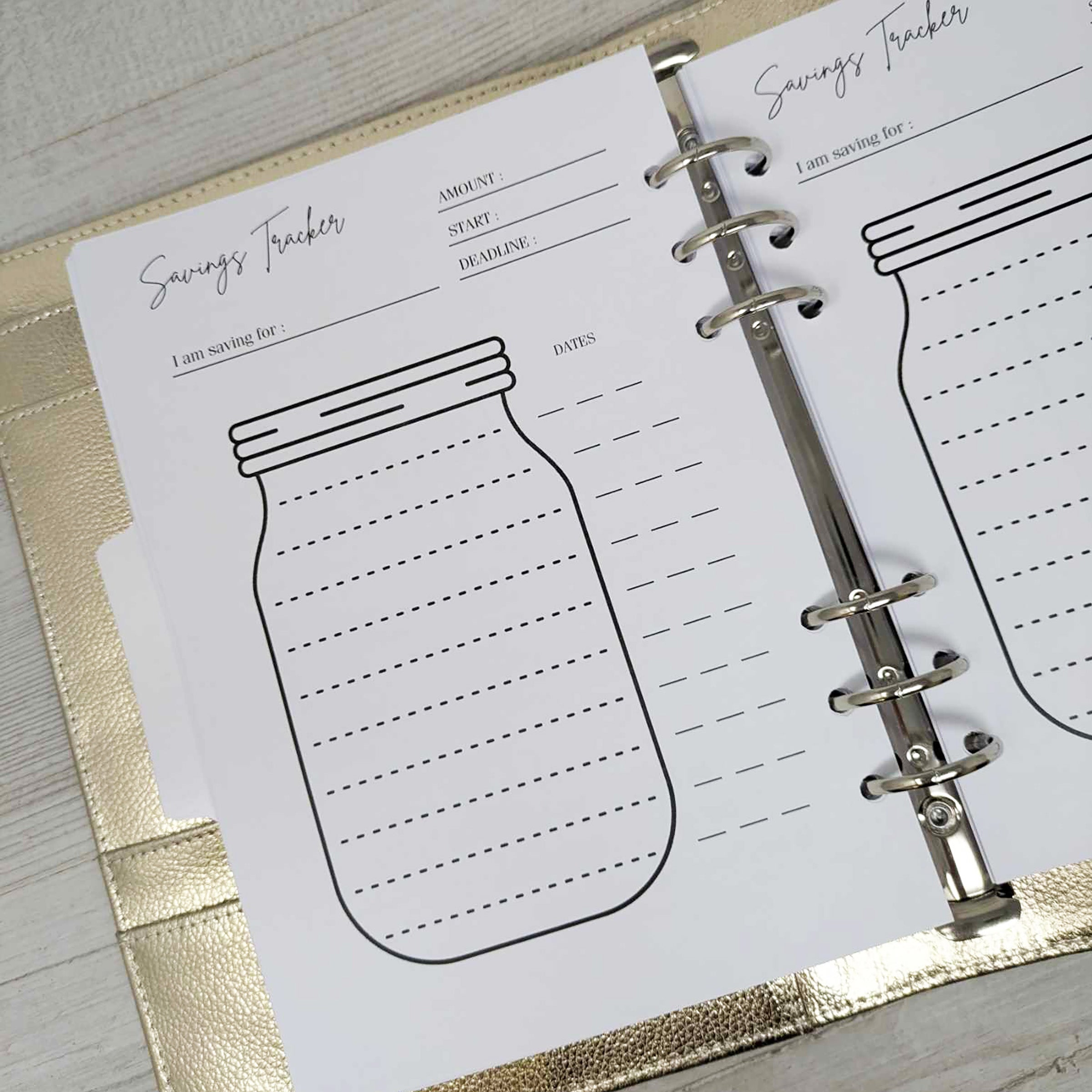 2025 Dated Diary With Budget Planner & Gold Organiser.