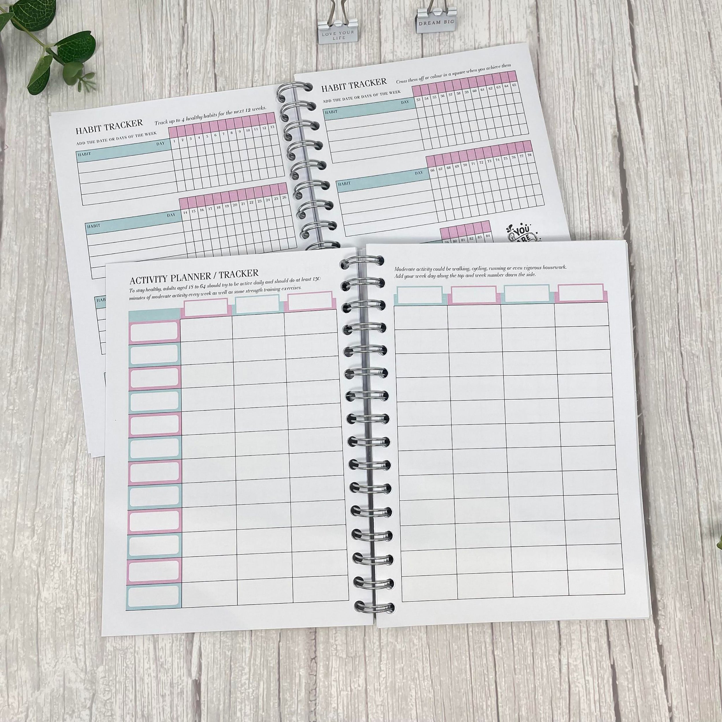 Deluxe 12 Wk Food Diary - Always Believe In Pink