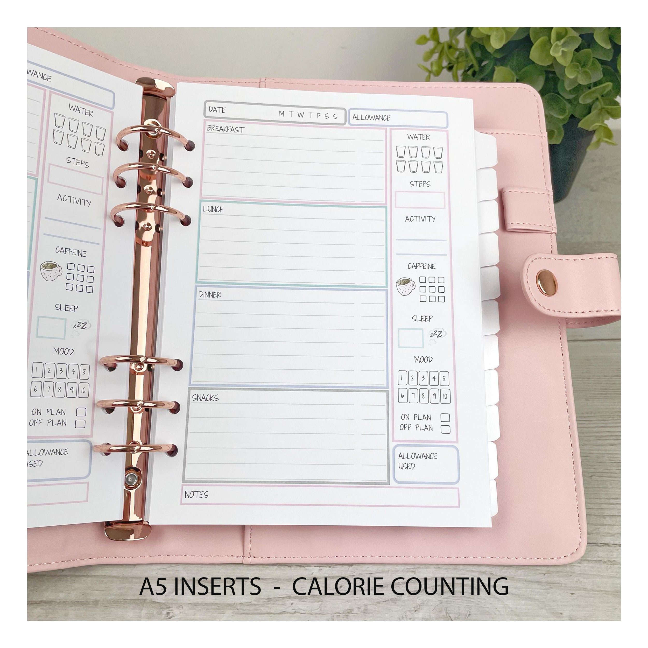 Pastel Food Diary Inserts - A5 Size - Inserts Only